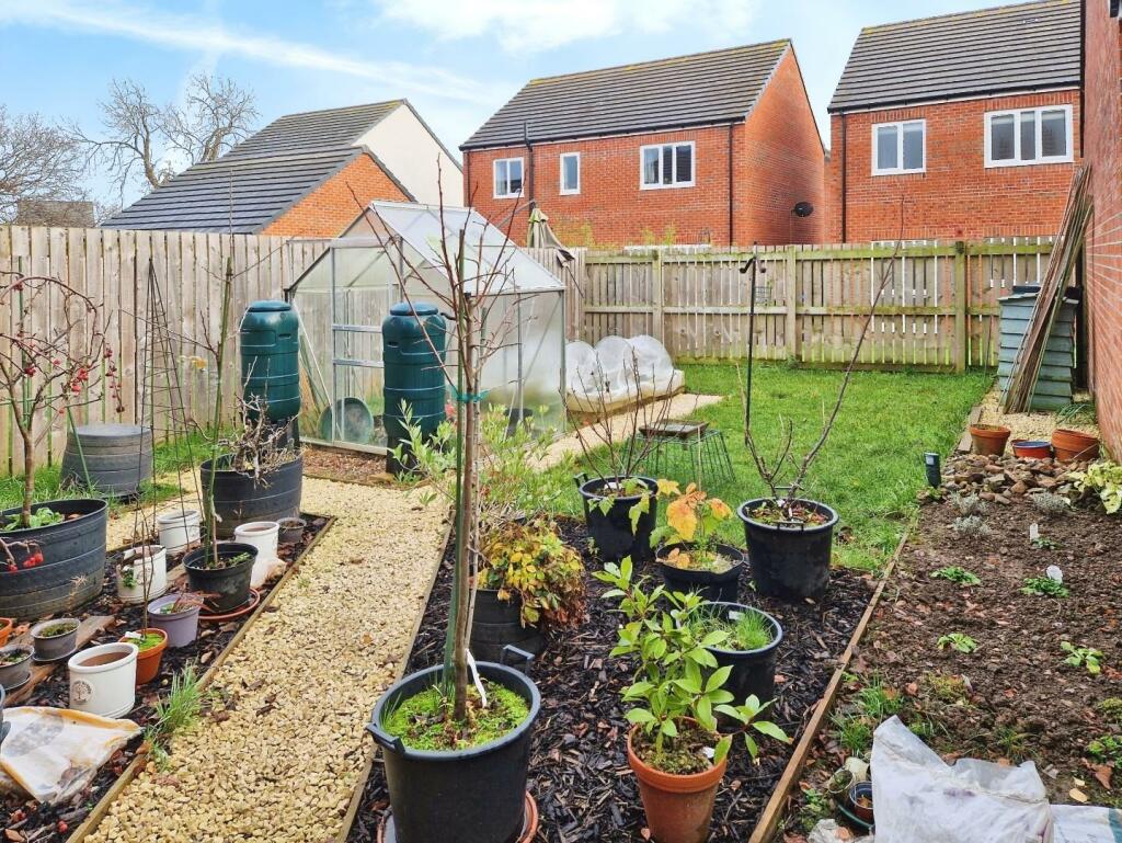 thomas drive garden shot.jpg