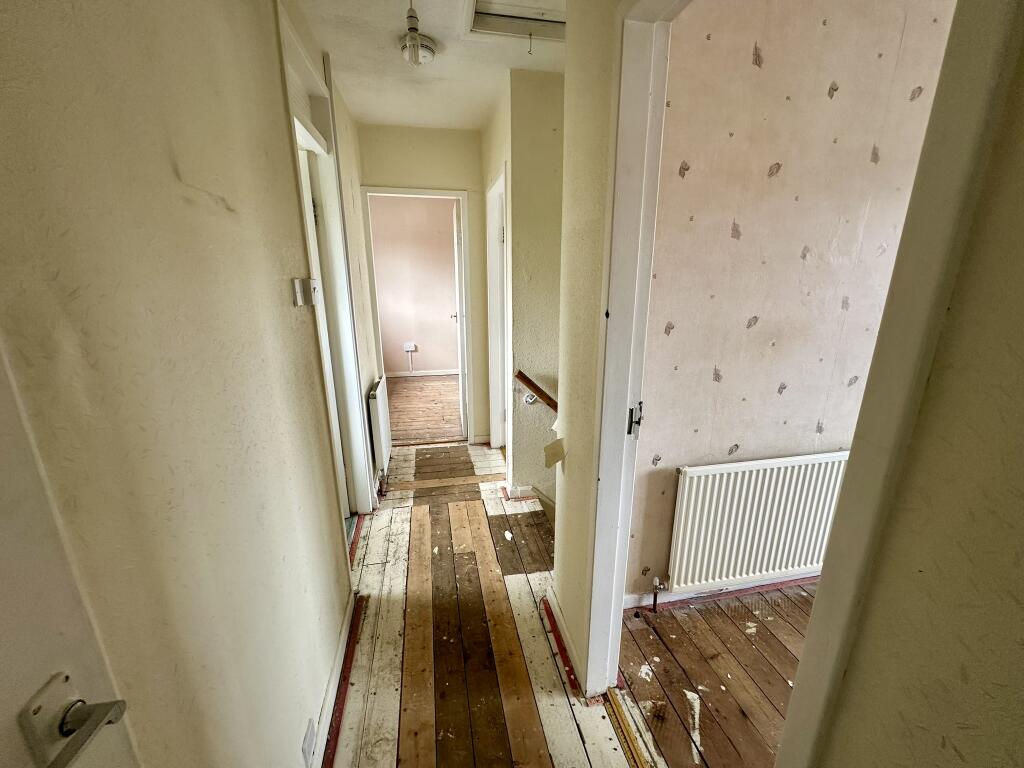 IMG 2988 T202507282242.jpeg