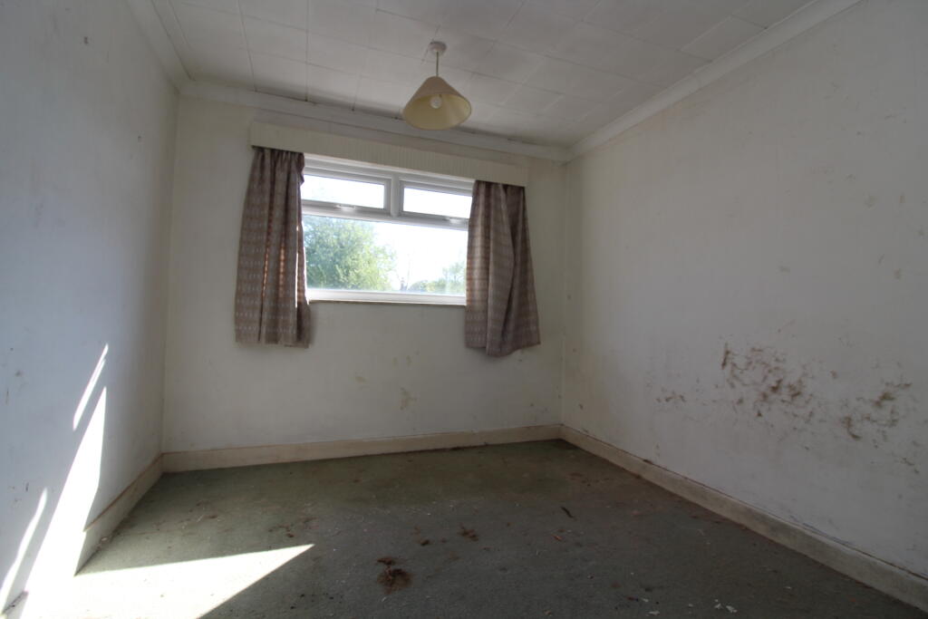 IMG 5053 T202505021626.jpg