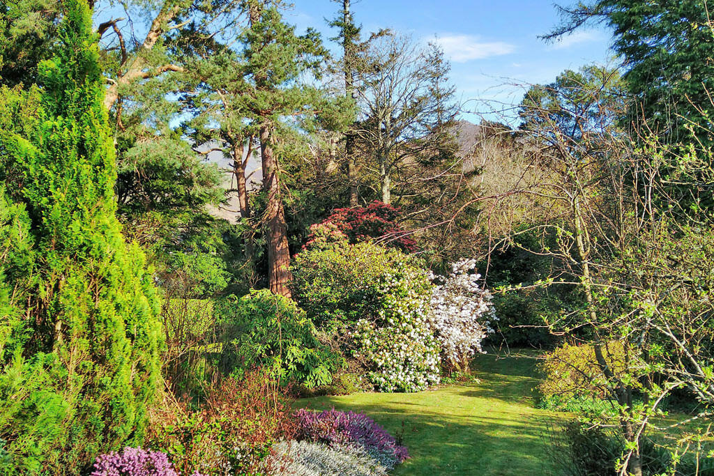 Communal Garden	