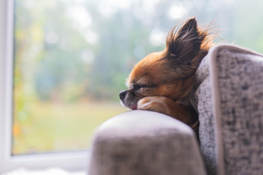 Award-winning Media team on EVERY Listing_11