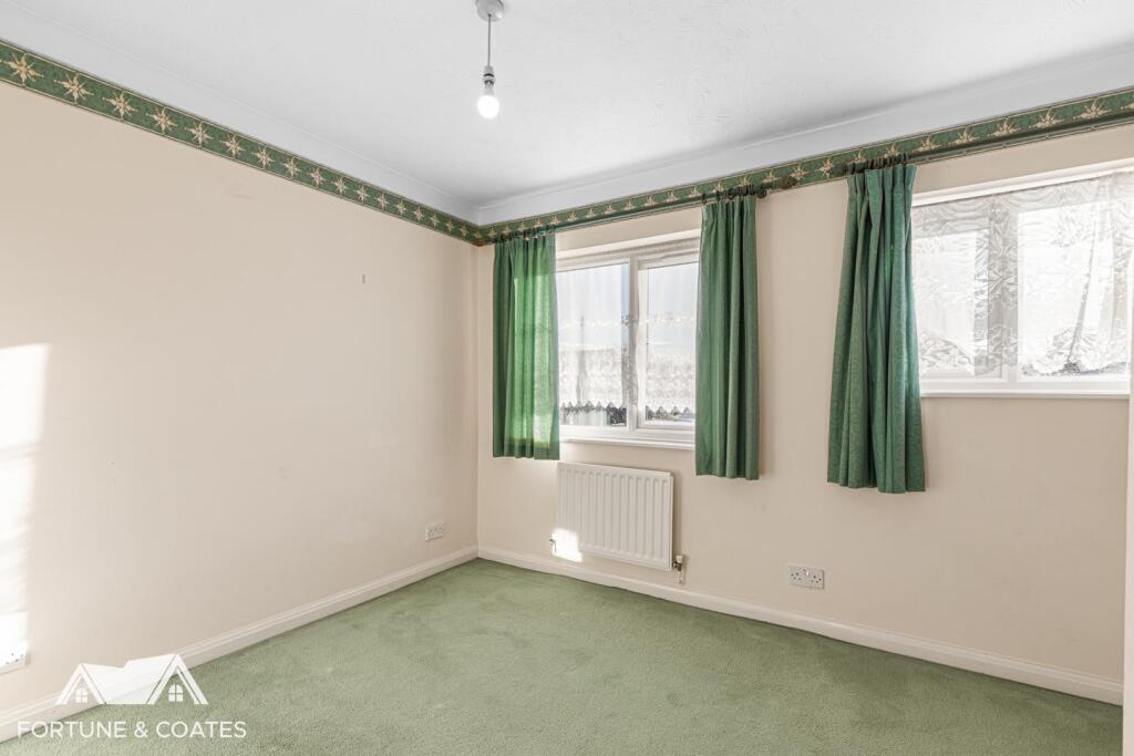 SheldonClose_5.jpg