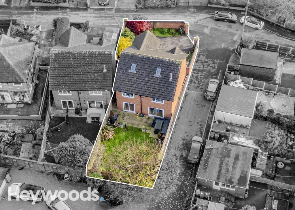 20241112-DJI_0131-Enhanced-SR - Copy