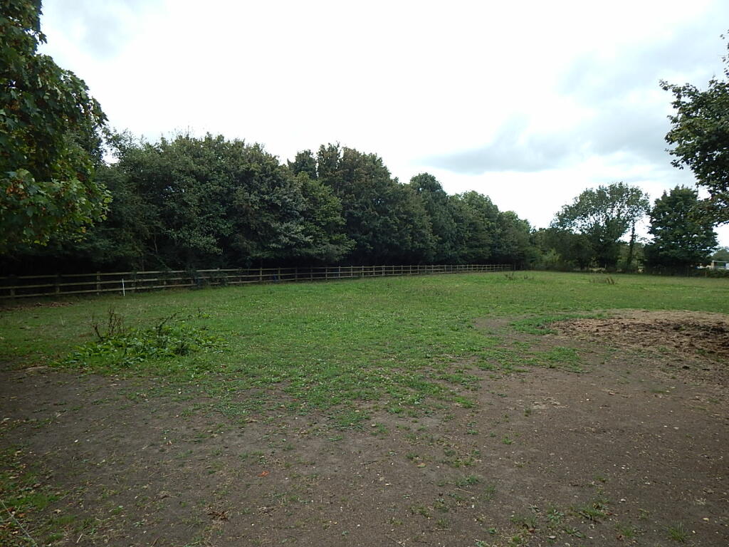 8 T202409301149.jpg