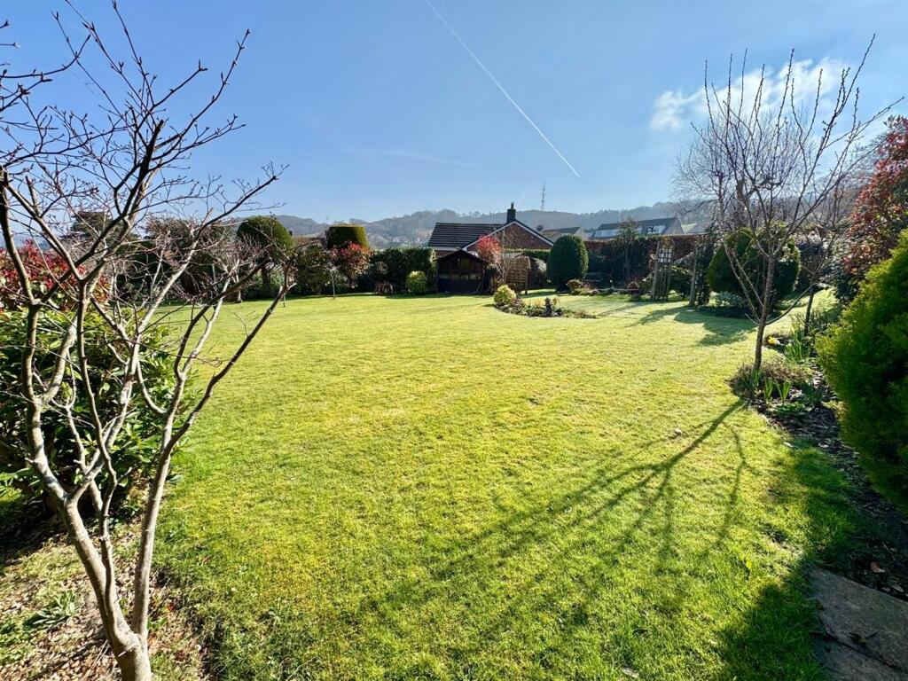 PHOTO-2025-03-24-21-38-34 (3).jpg