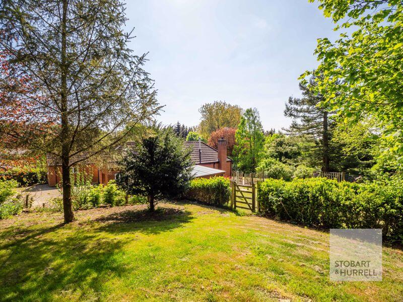 Front To Rear