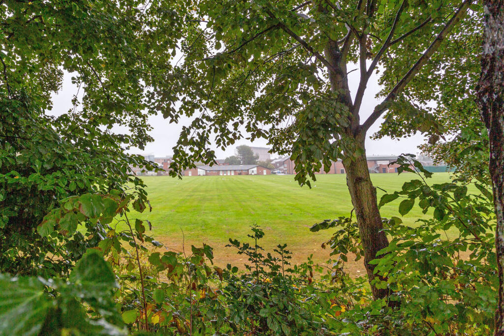 Field to rear