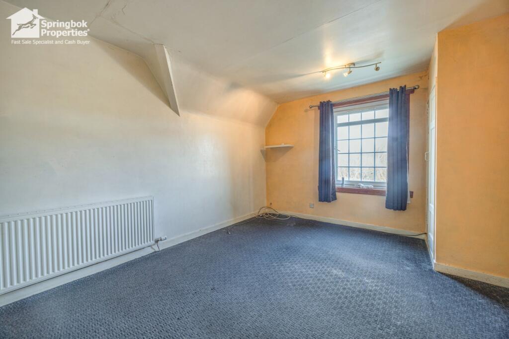 IMAGE 12