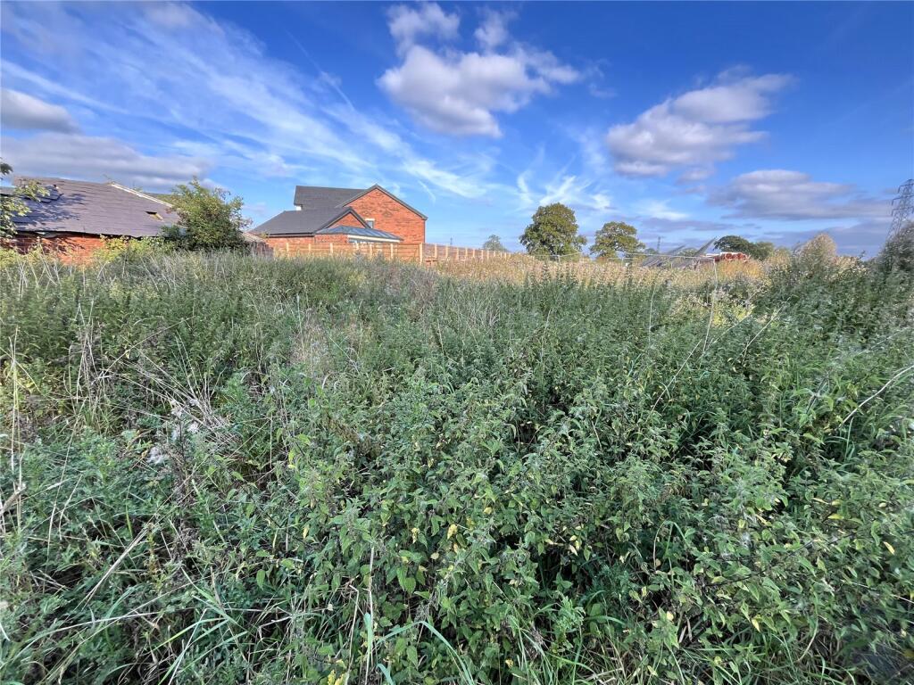Site