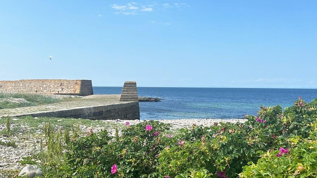Buckie