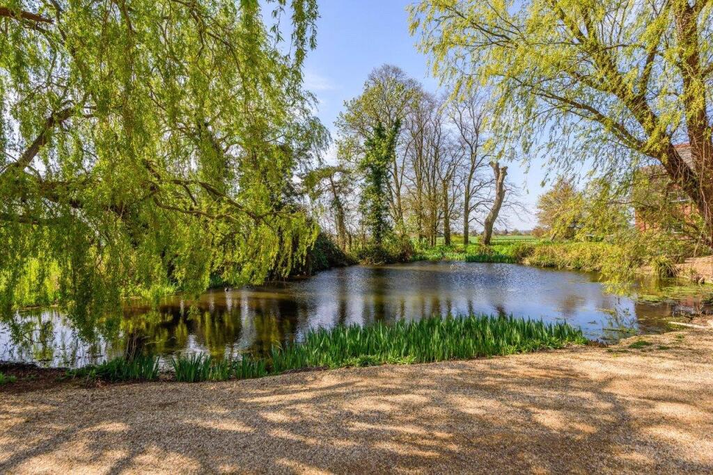 Pond