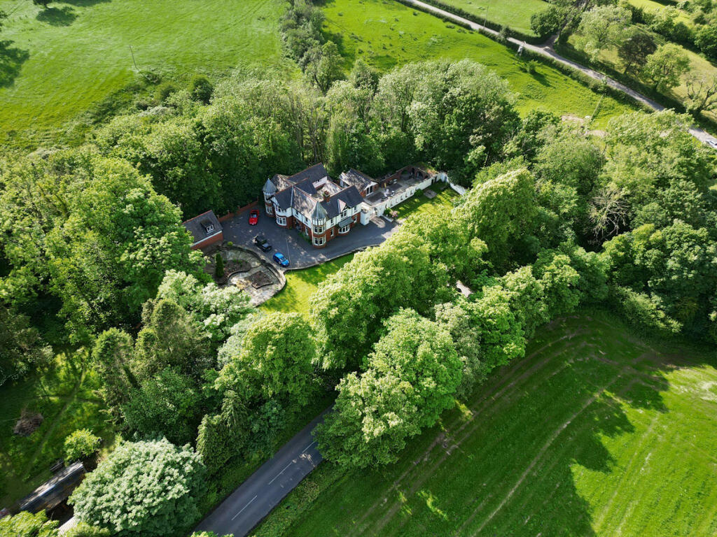 265178_RX383074_IMG_29_0000 (1).jpeg