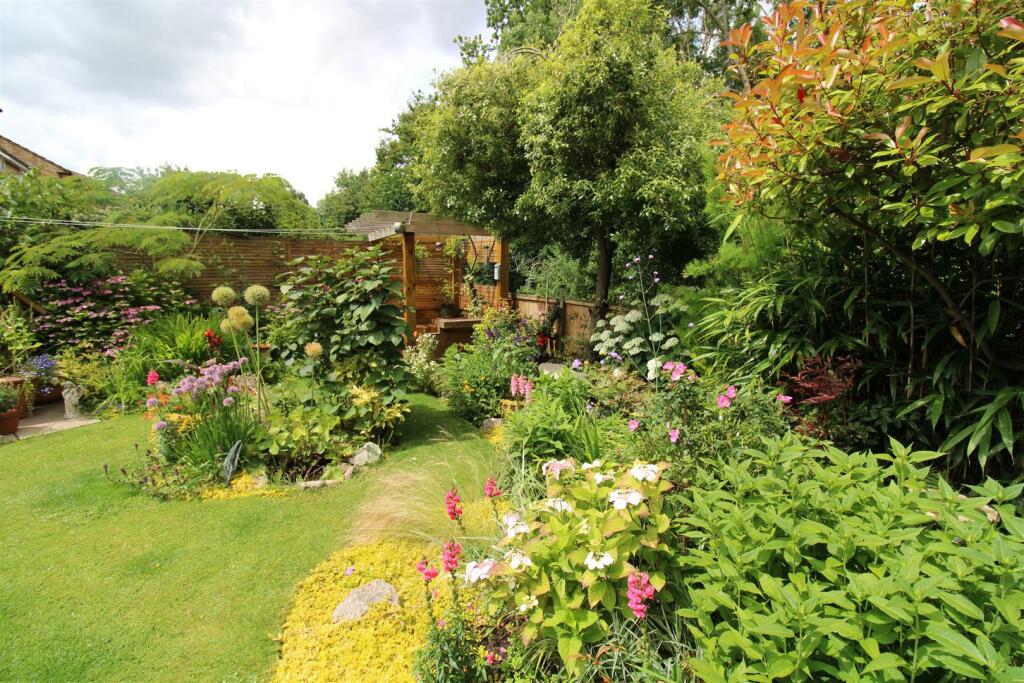 Garden / Patio