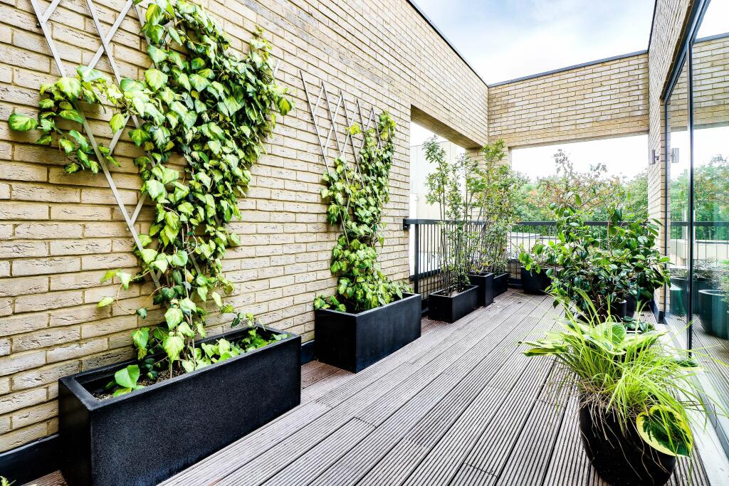 Sun terrace from Master bedroom