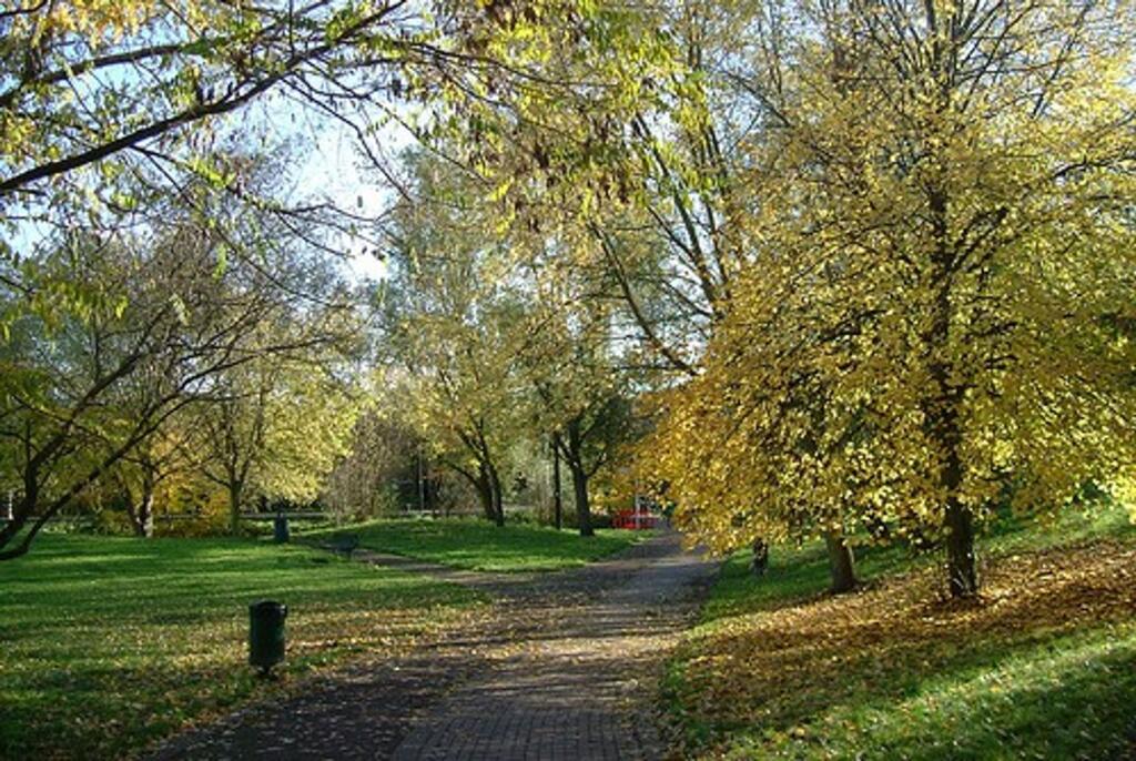 Russia Dock Woodland