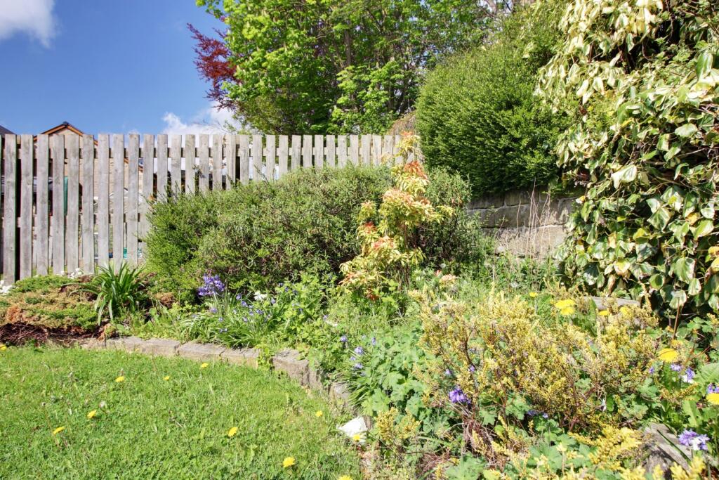 Back Garden