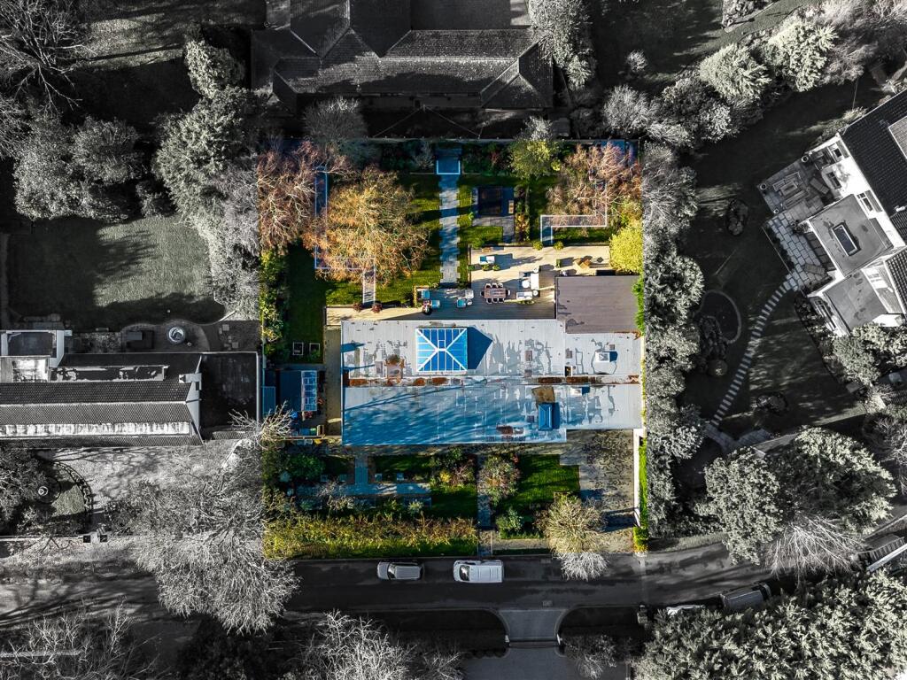 Aerial Plot Outline.jpg