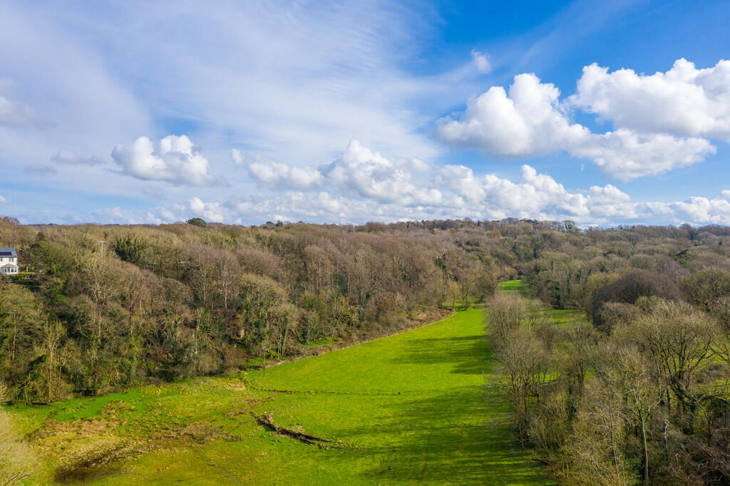 Aerial Shot