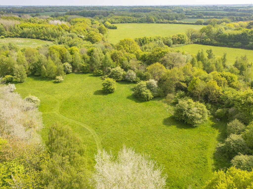 DJI_0222