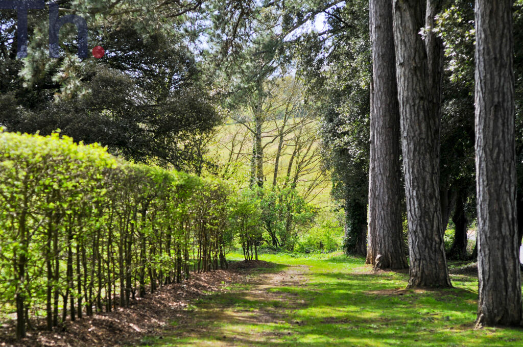 Communal Garounds &amp; Woodland.JPG