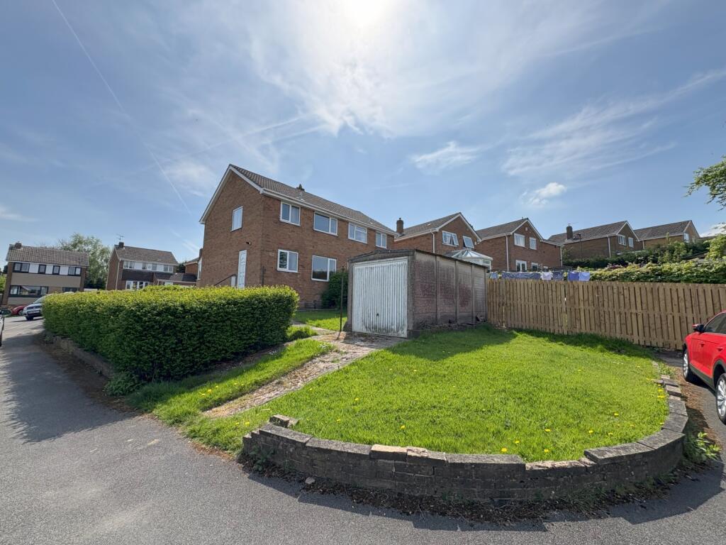 20250429_113029333_iOS