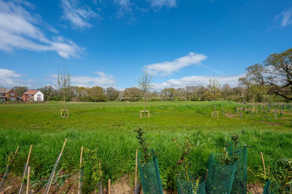 Heol Nant Glandulas, Lisvane, HernCrabtree (5).jpg