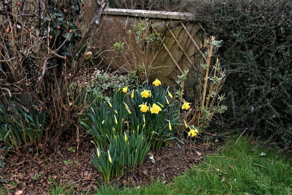 Tiverton, Seddons
