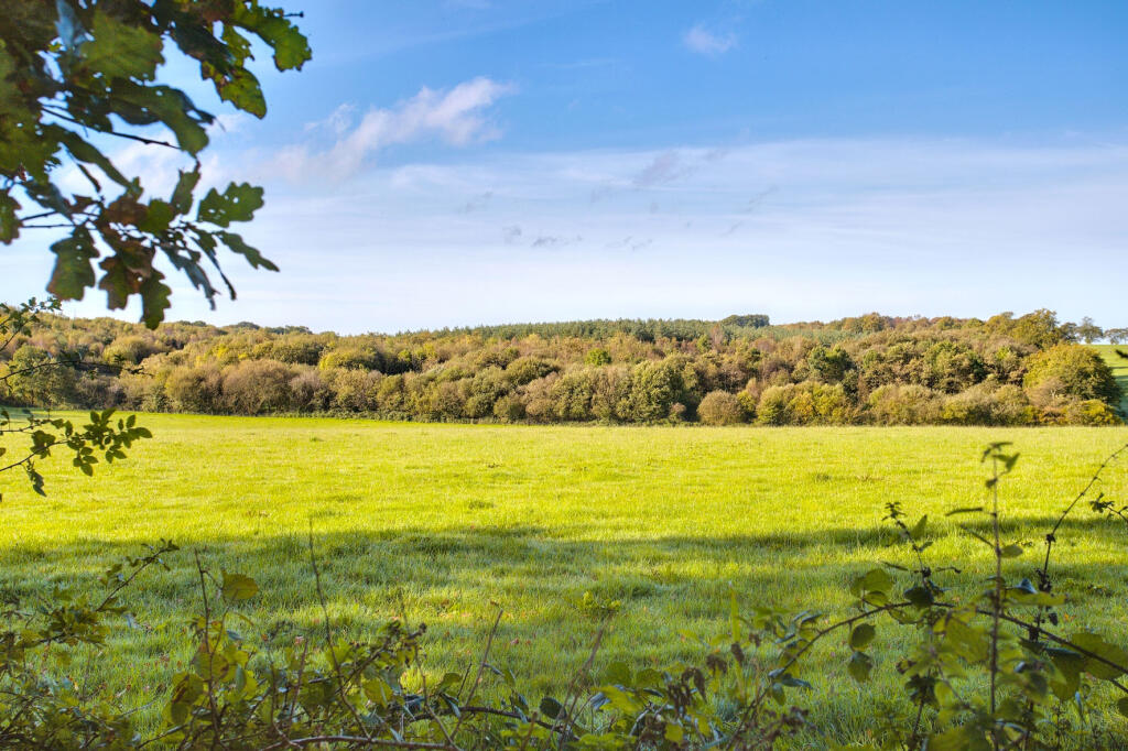 Surrounding fields