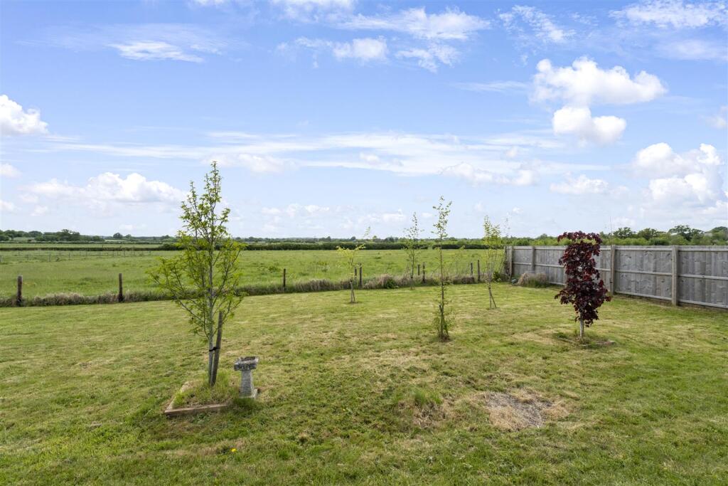 Tree area