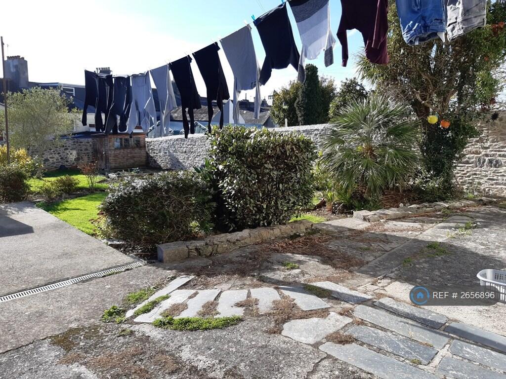 Rear Garden - Washing Line