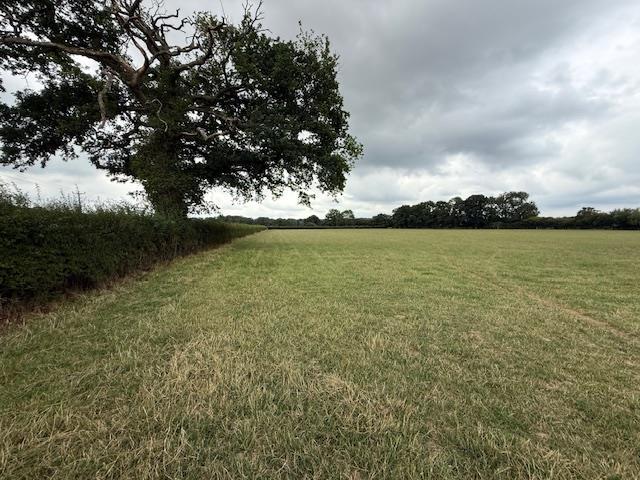 image10.jpeg
