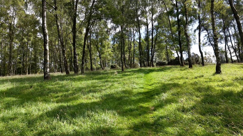 Grazing Woodland