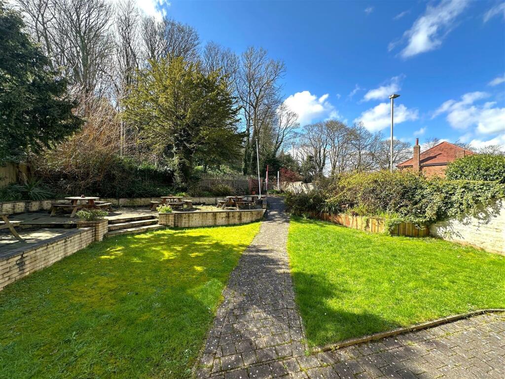 front garden sun.jpg