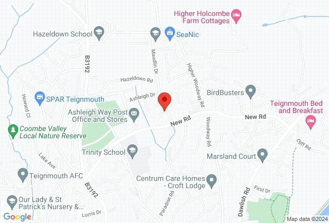Google Maps Image