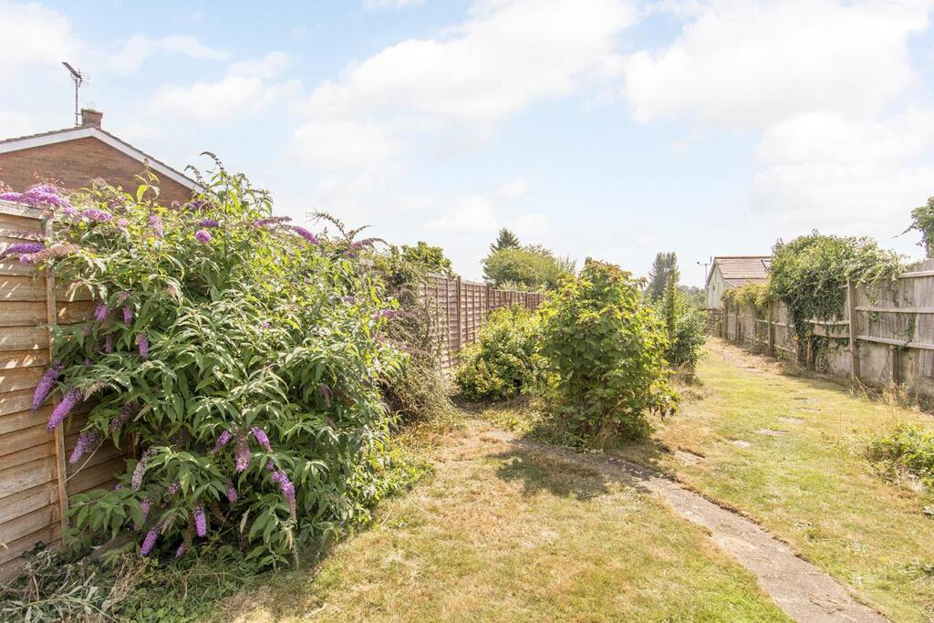 Garden (Photo Two)