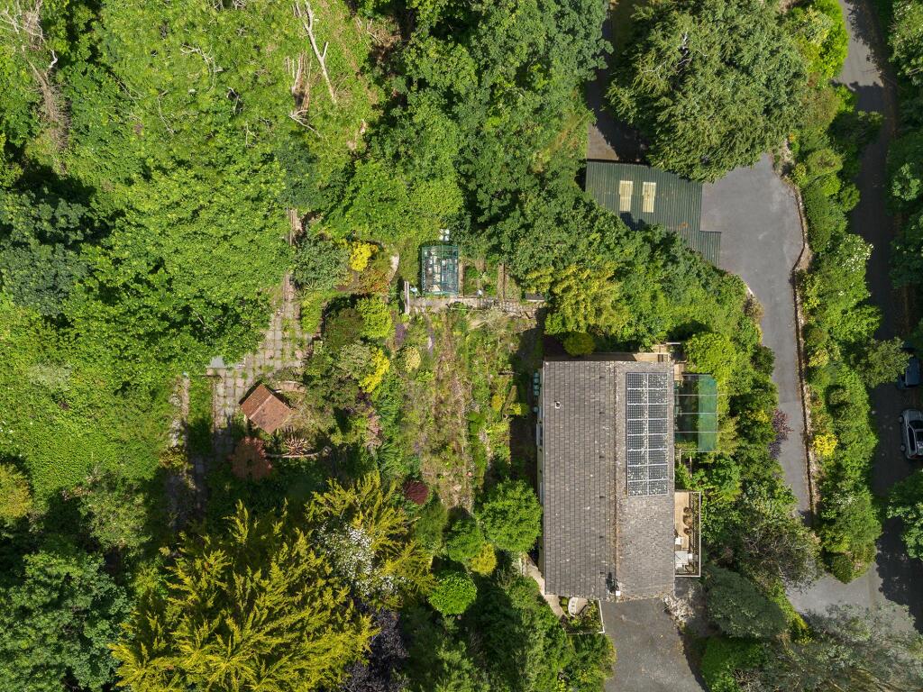 Drone Plot close up_Brambles, Weeke Hill, Dartmouth