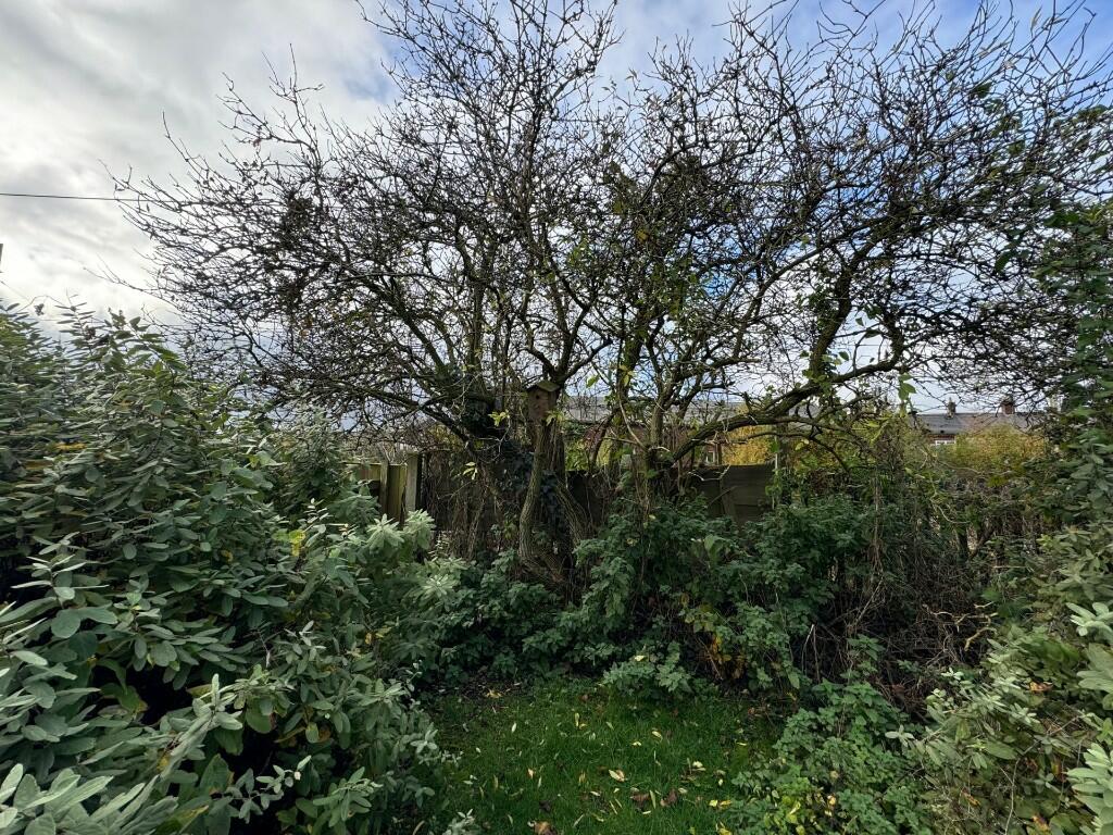 Garden's 