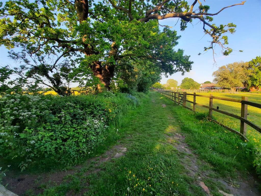 Surrounding Area 1.jpg