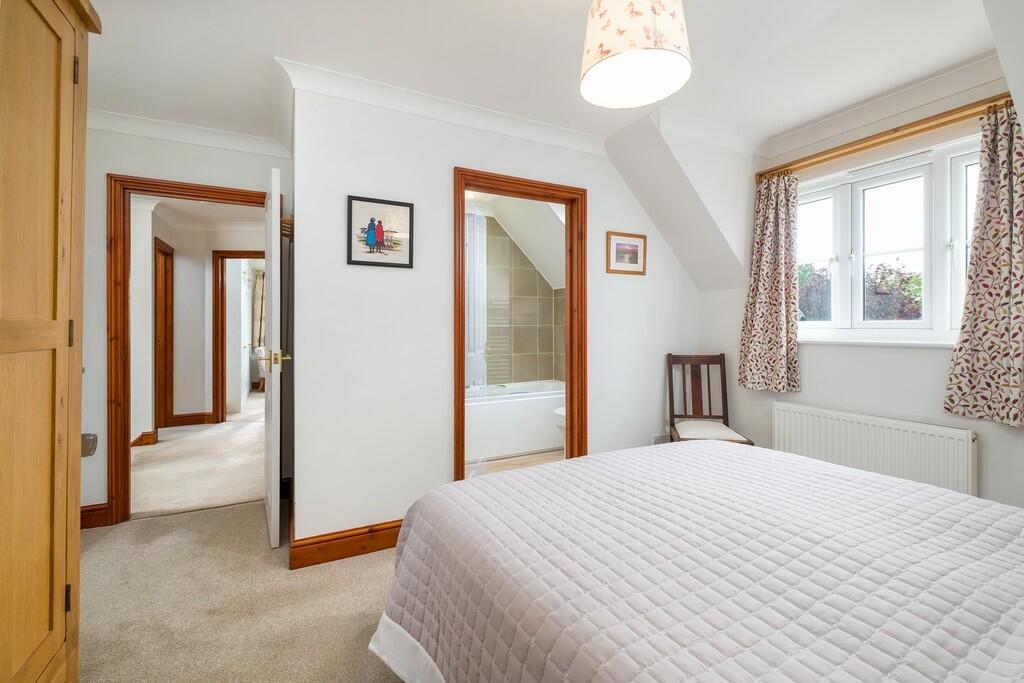 1440px-Hedgehogs-...