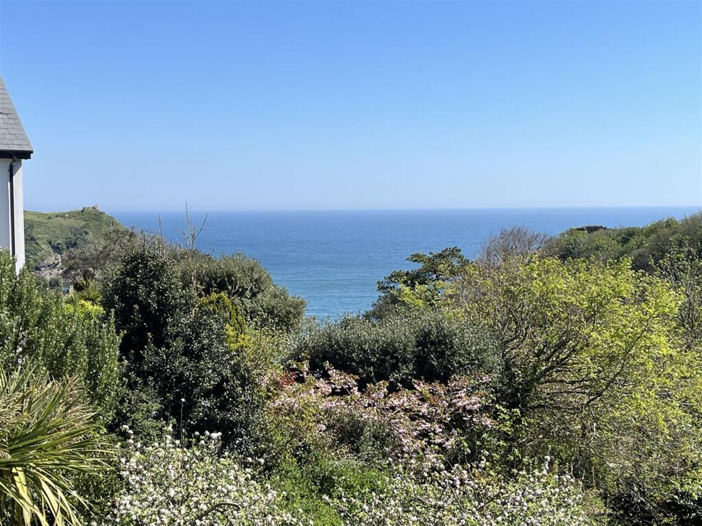 view.JPG