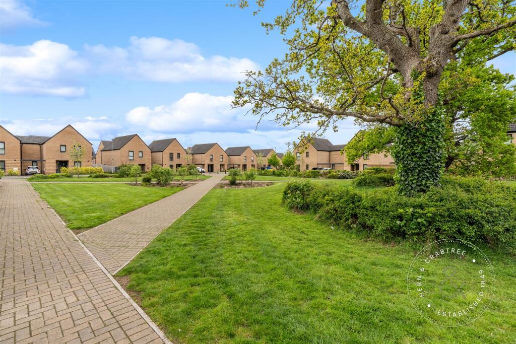 Rhodfa Crughywel, HernCrabtree (27).jpg