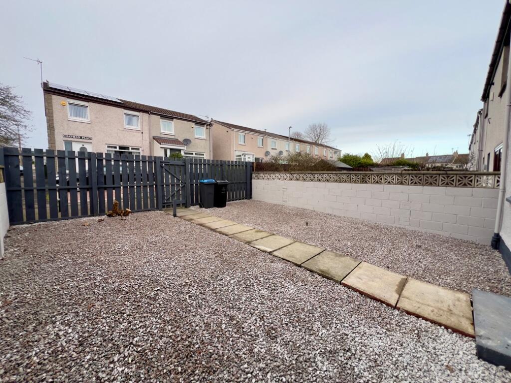 Back garden