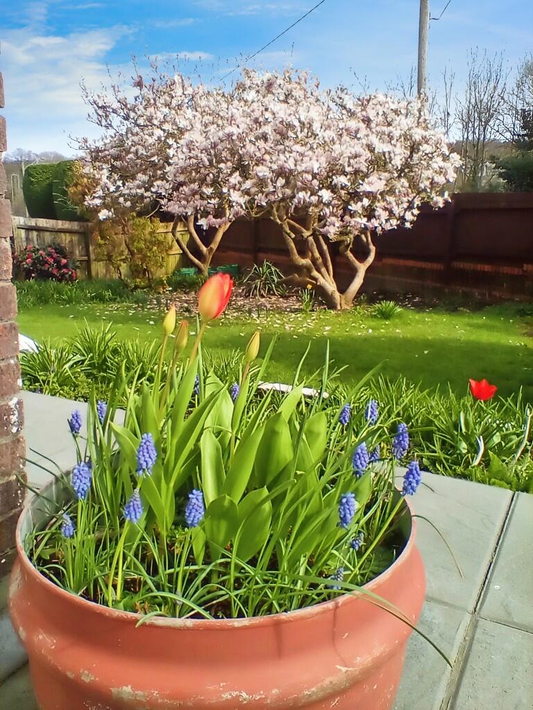 163dab29-IMG_2024...