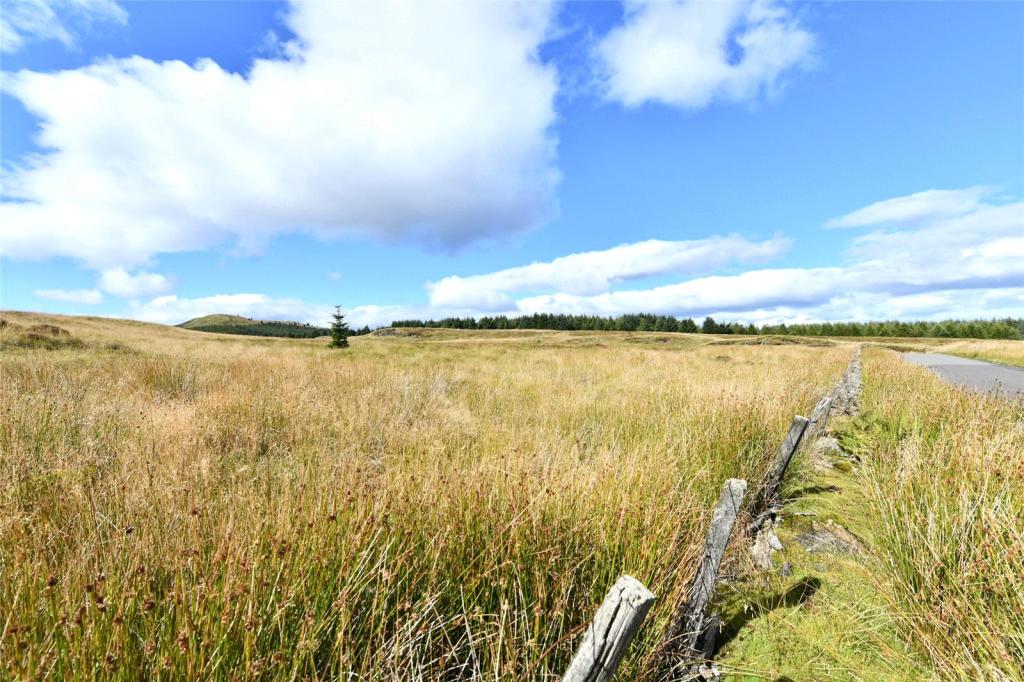 Roadside Fence