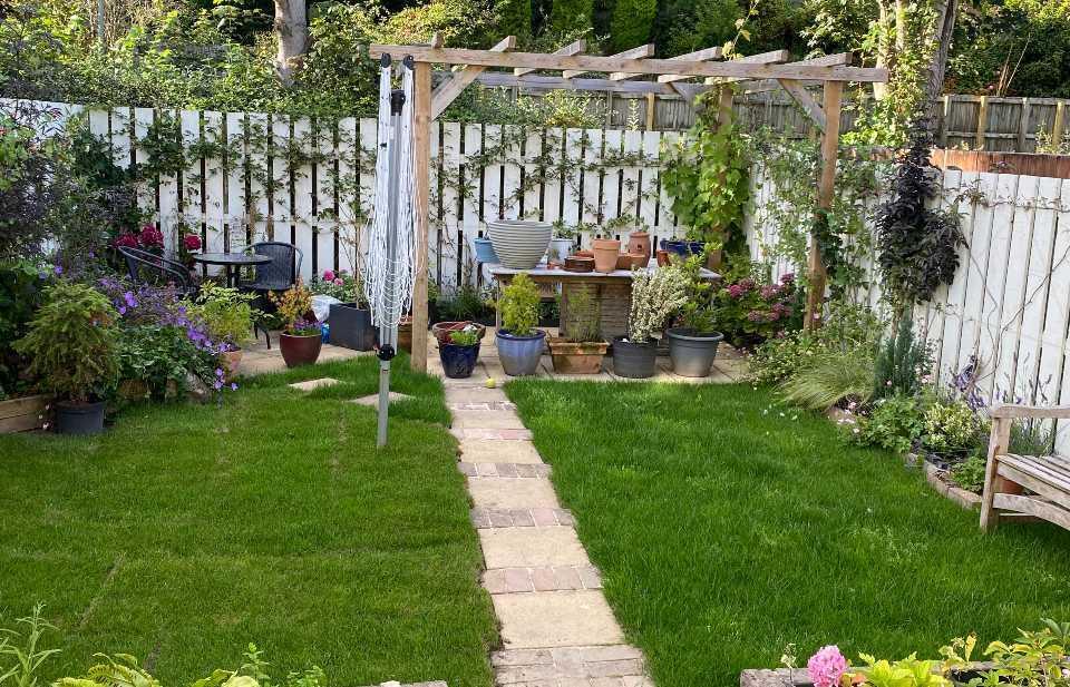 IMG_7069 cropped.jpg