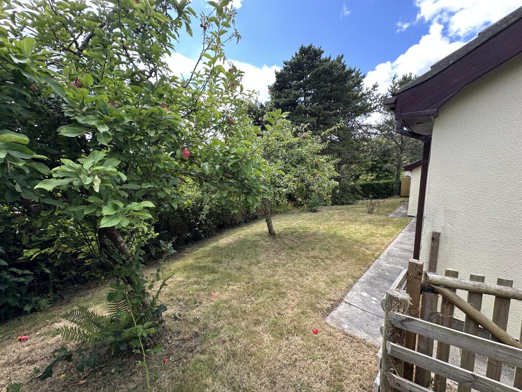 Side Garden