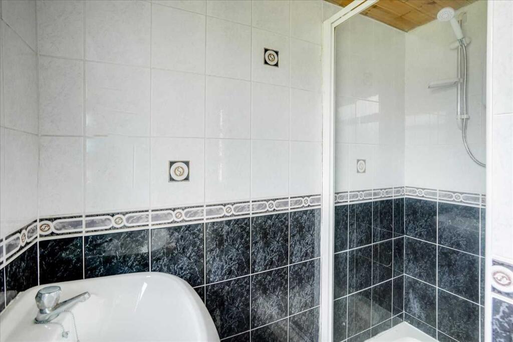 Lower Level Shower