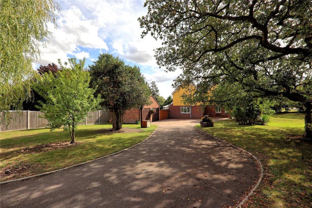 Picture No. 81