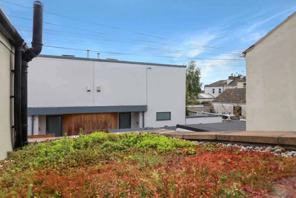 Green roof.jpg
