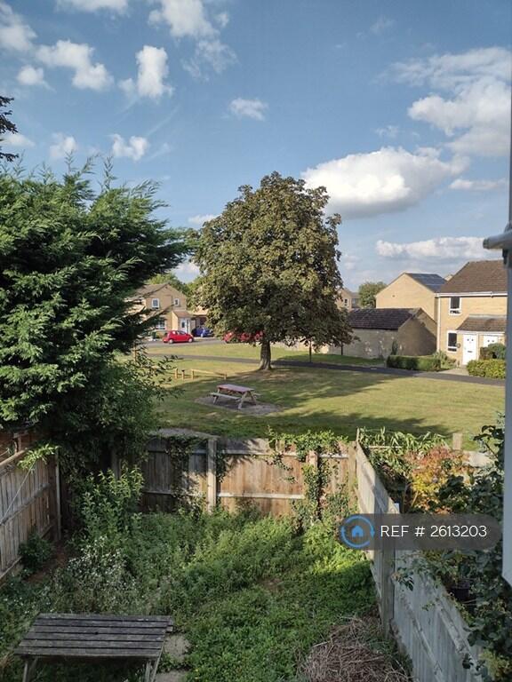 Windows Look On To a Green Area.